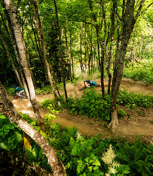 CHATEL_L. MEYER_bike park_20250624_011