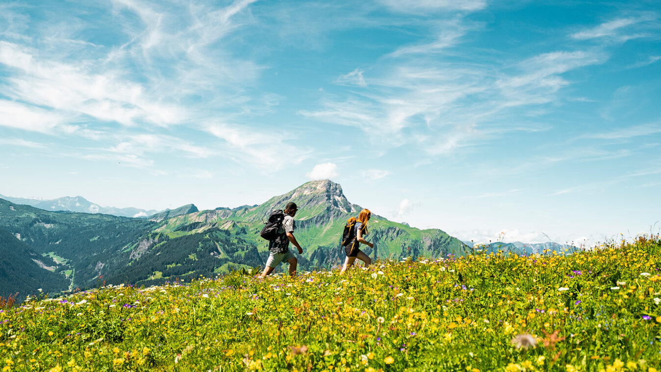 CHATEL randonnée été