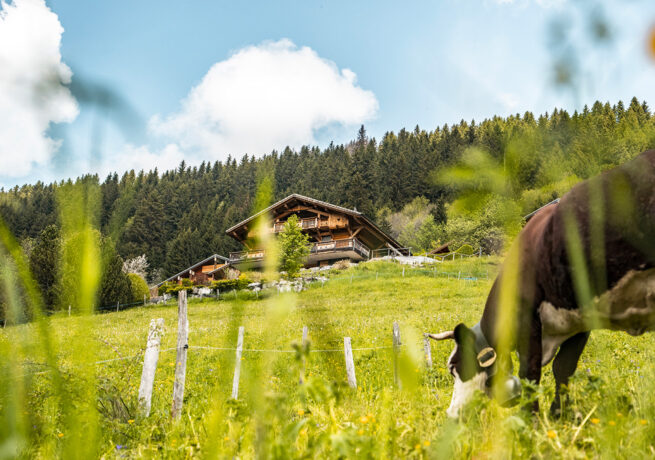 Home été bloc RS 6