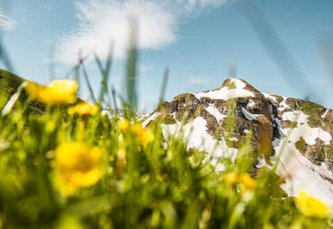 Châtel Printemps slow travel