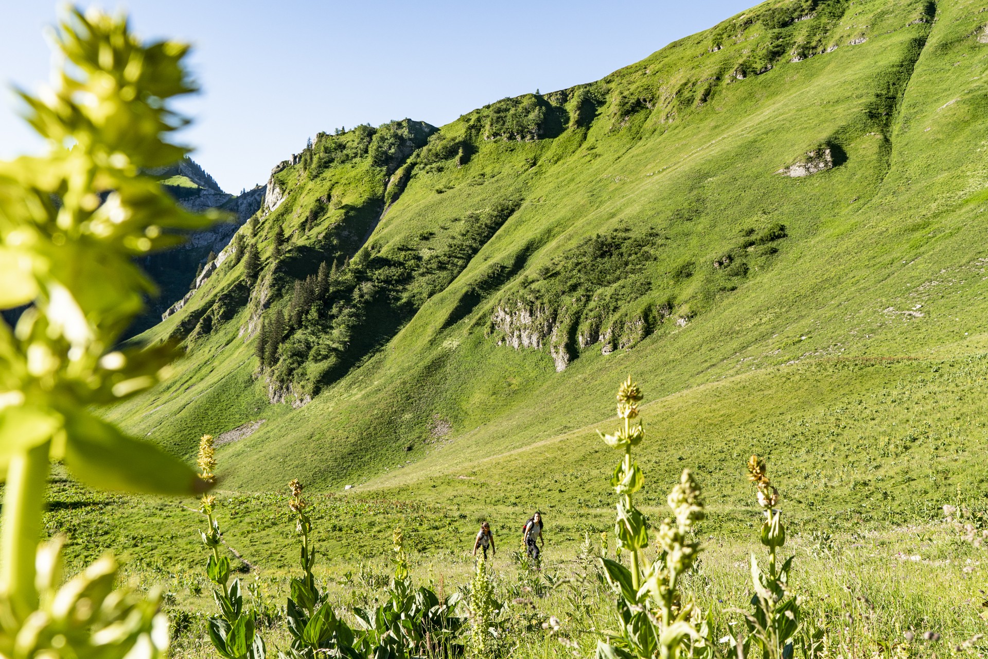 Chablais Mountains