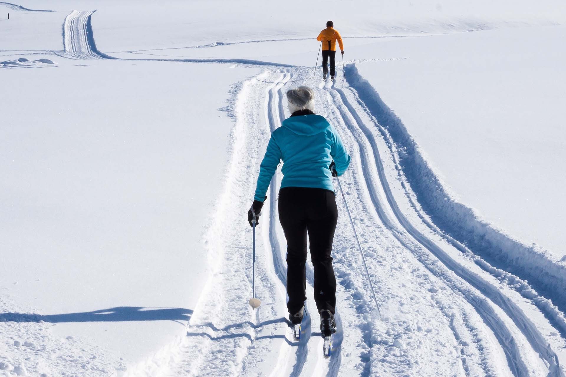 Cross-country skis rental