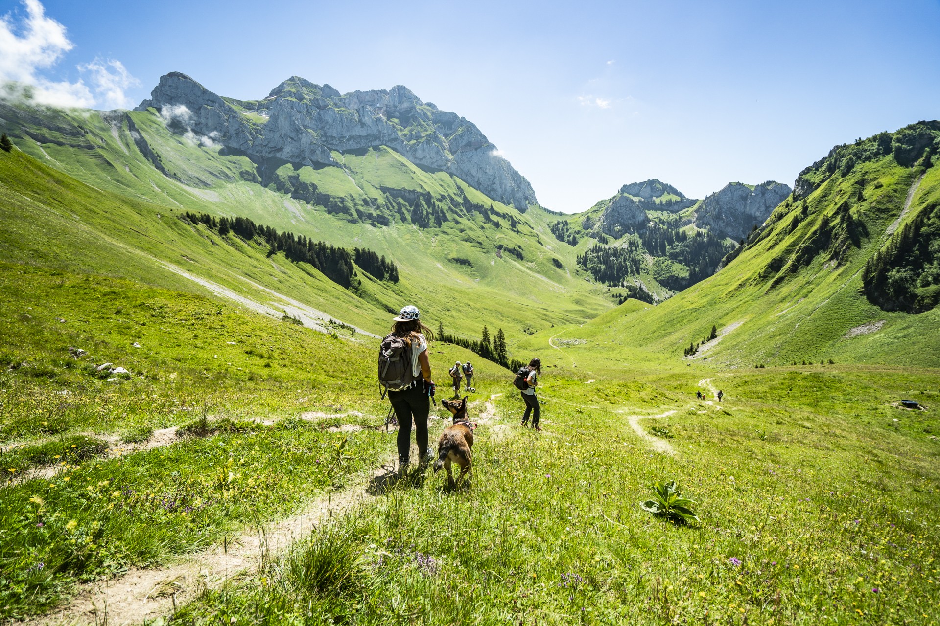 Guided hiking