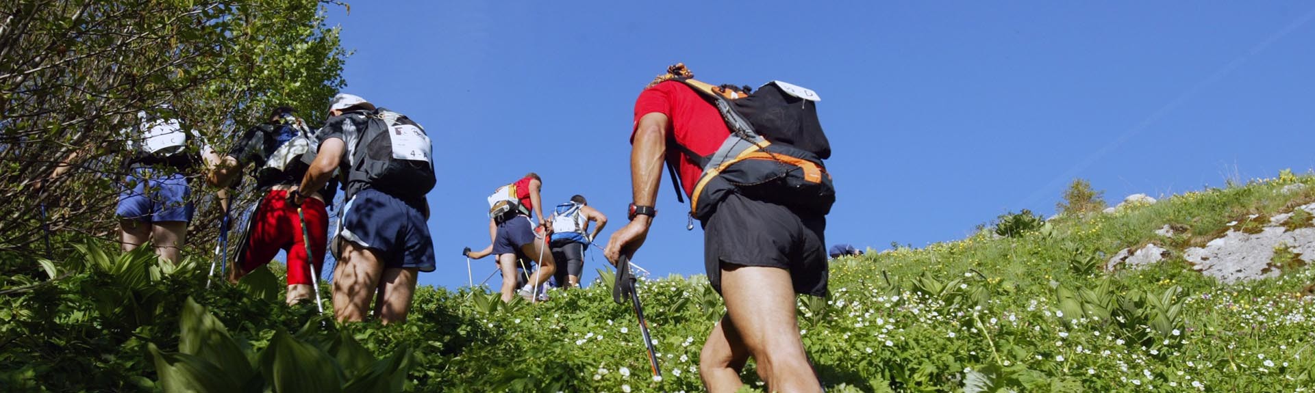 Guided hiking