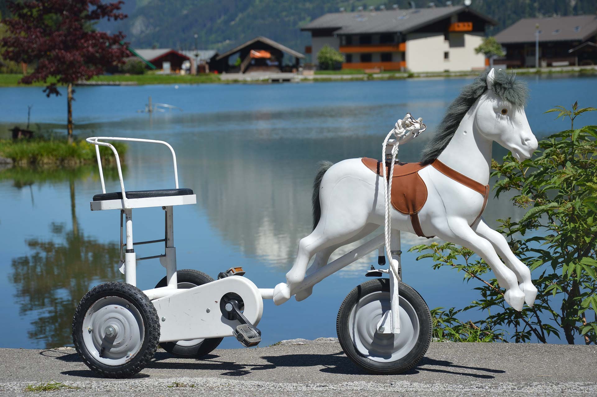 Hire of small pedal horses