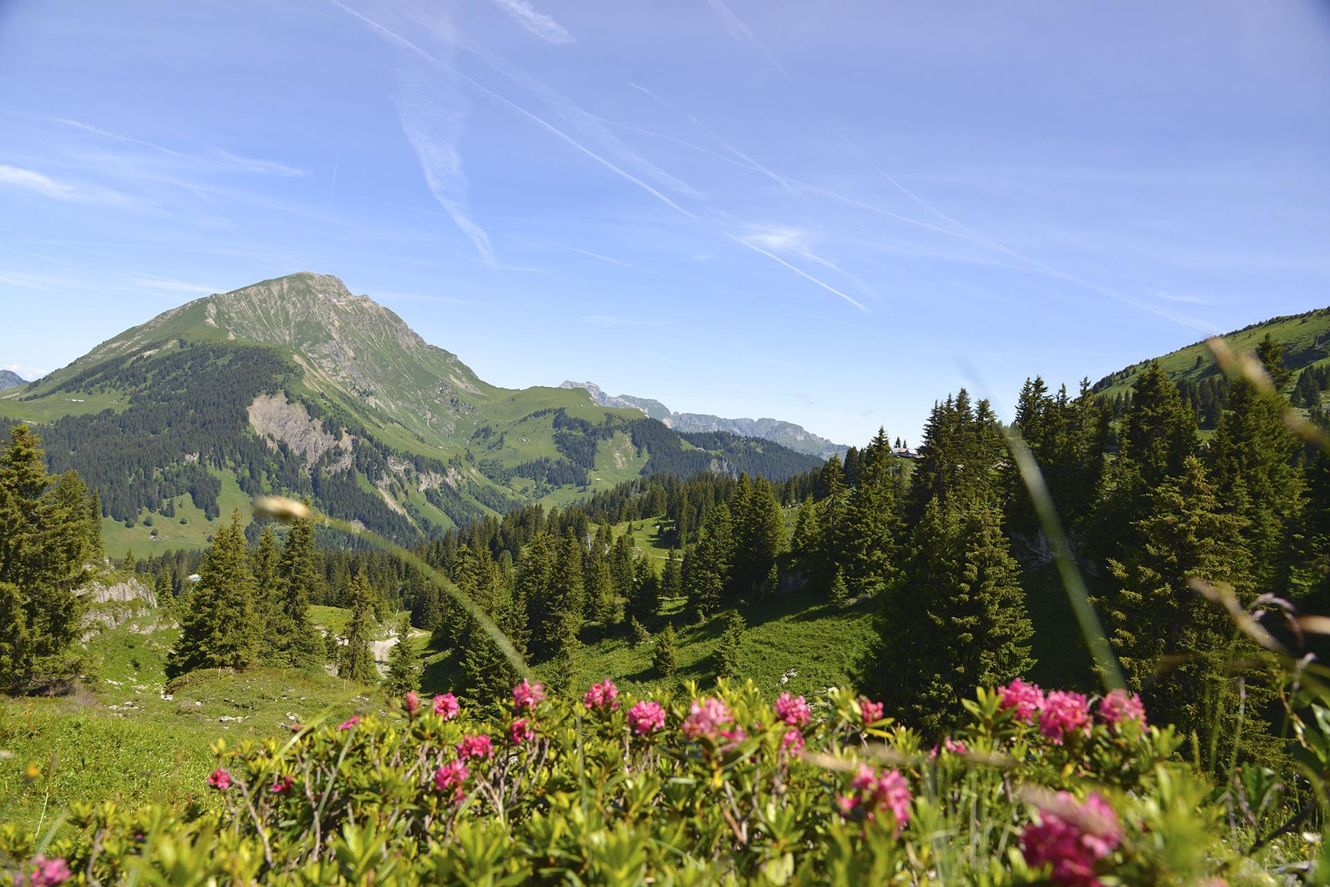 Les guides et accompagnateurs en montagne