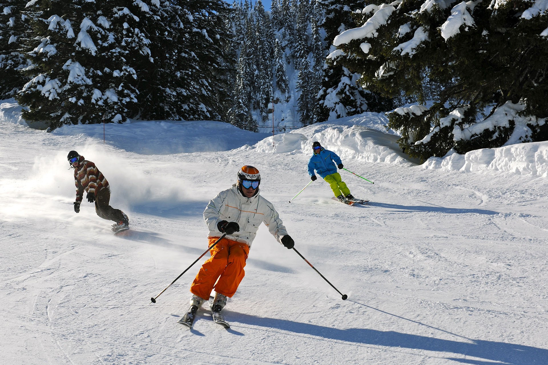 Freelance ski instructors