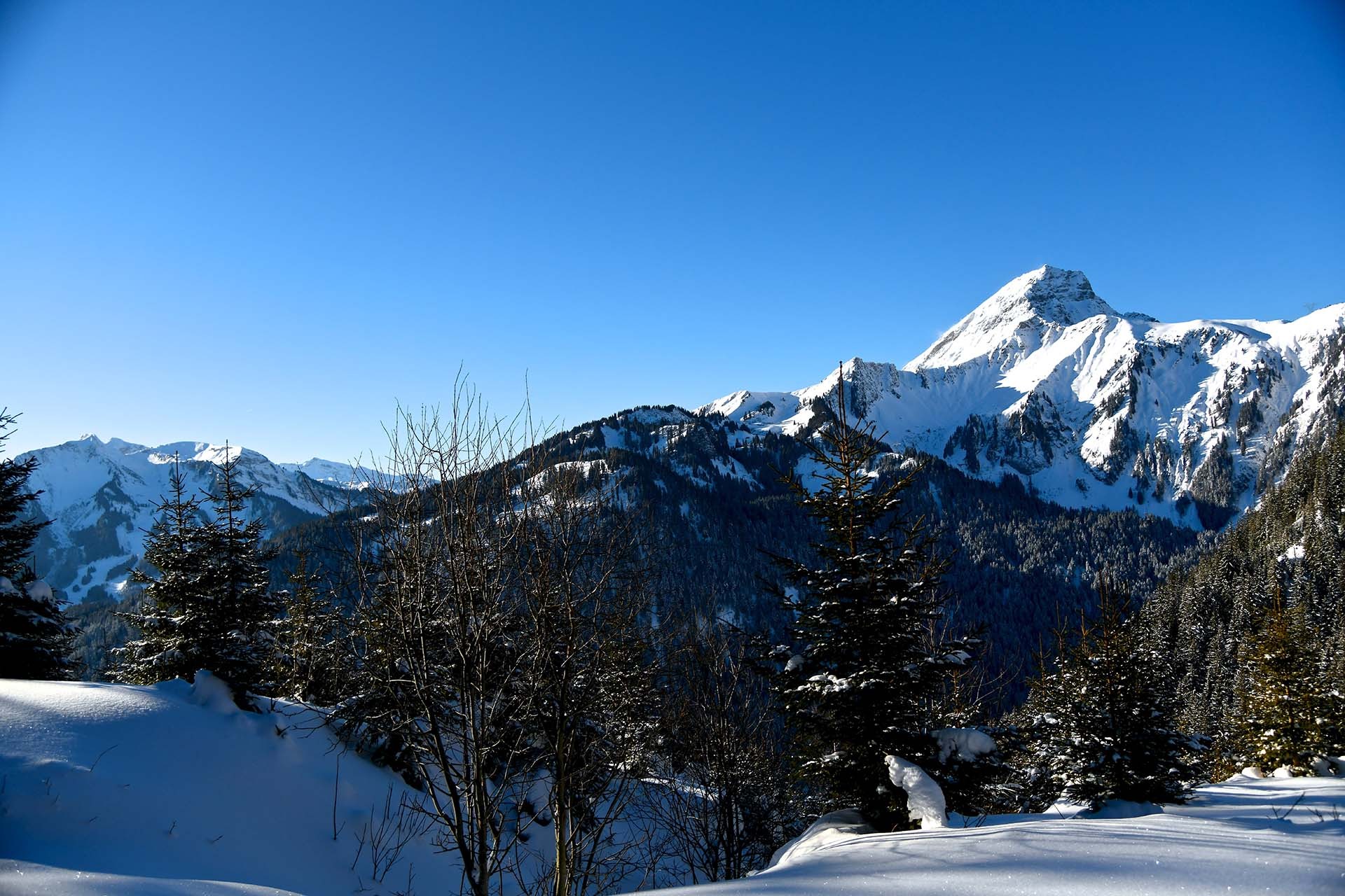 Natuurgebieden