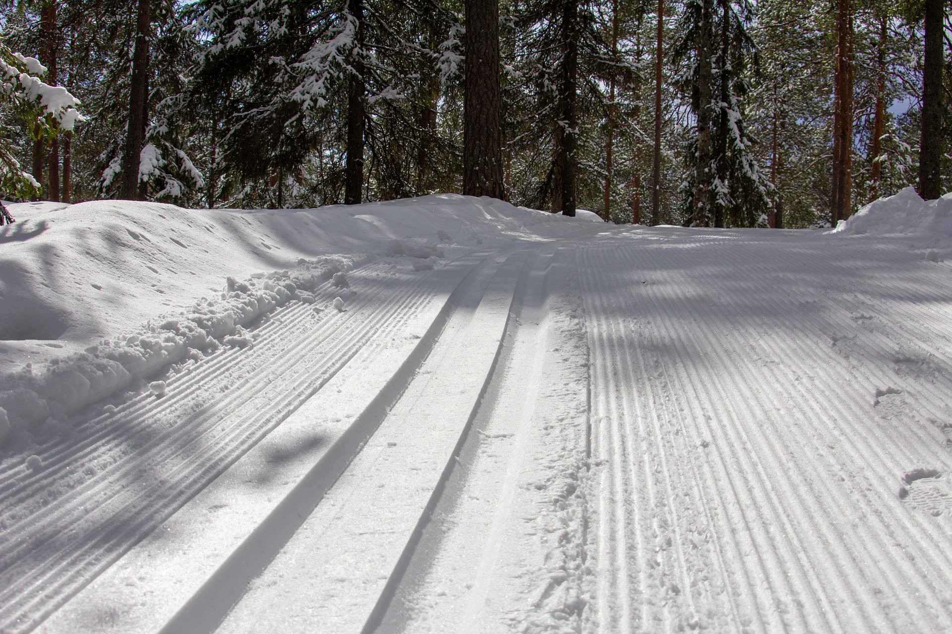 Skiing track. Снег лыжная трасса. Лыжня в лесу. Трасса лыжи заснеженный лес. Лыжные следы на снегу.