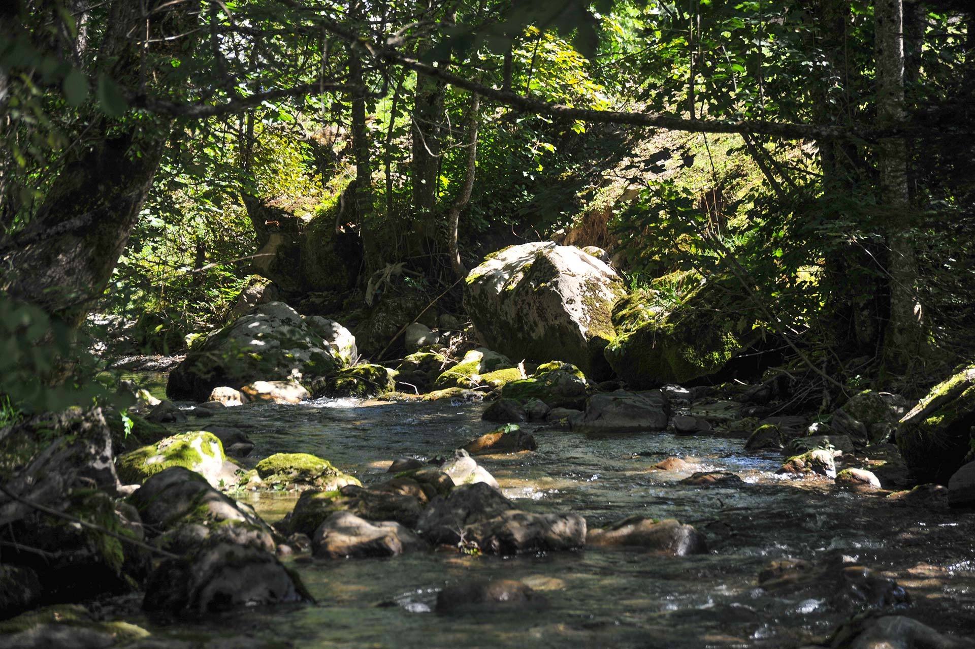 Fishing in the river