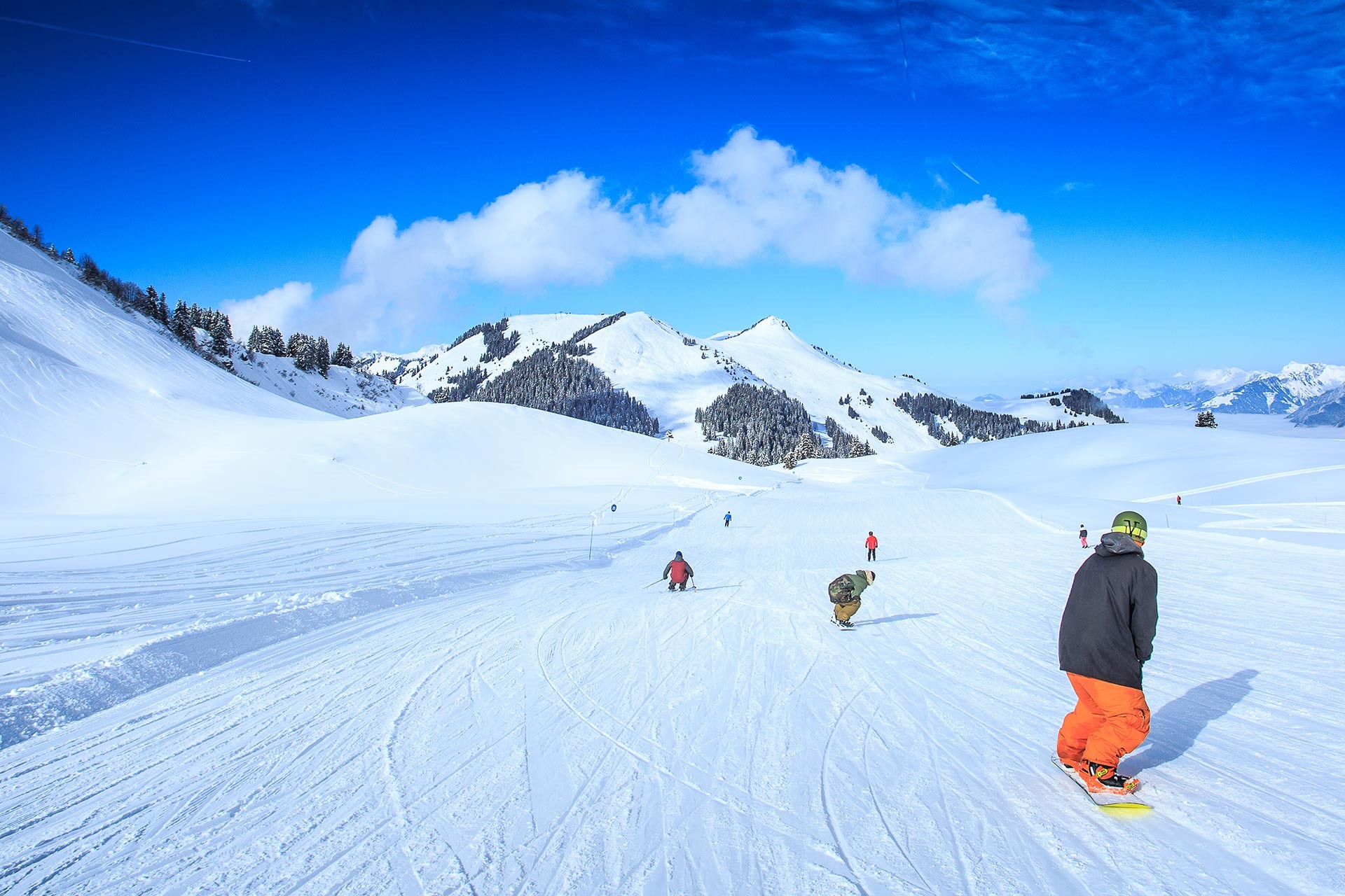 La piste de vitesse