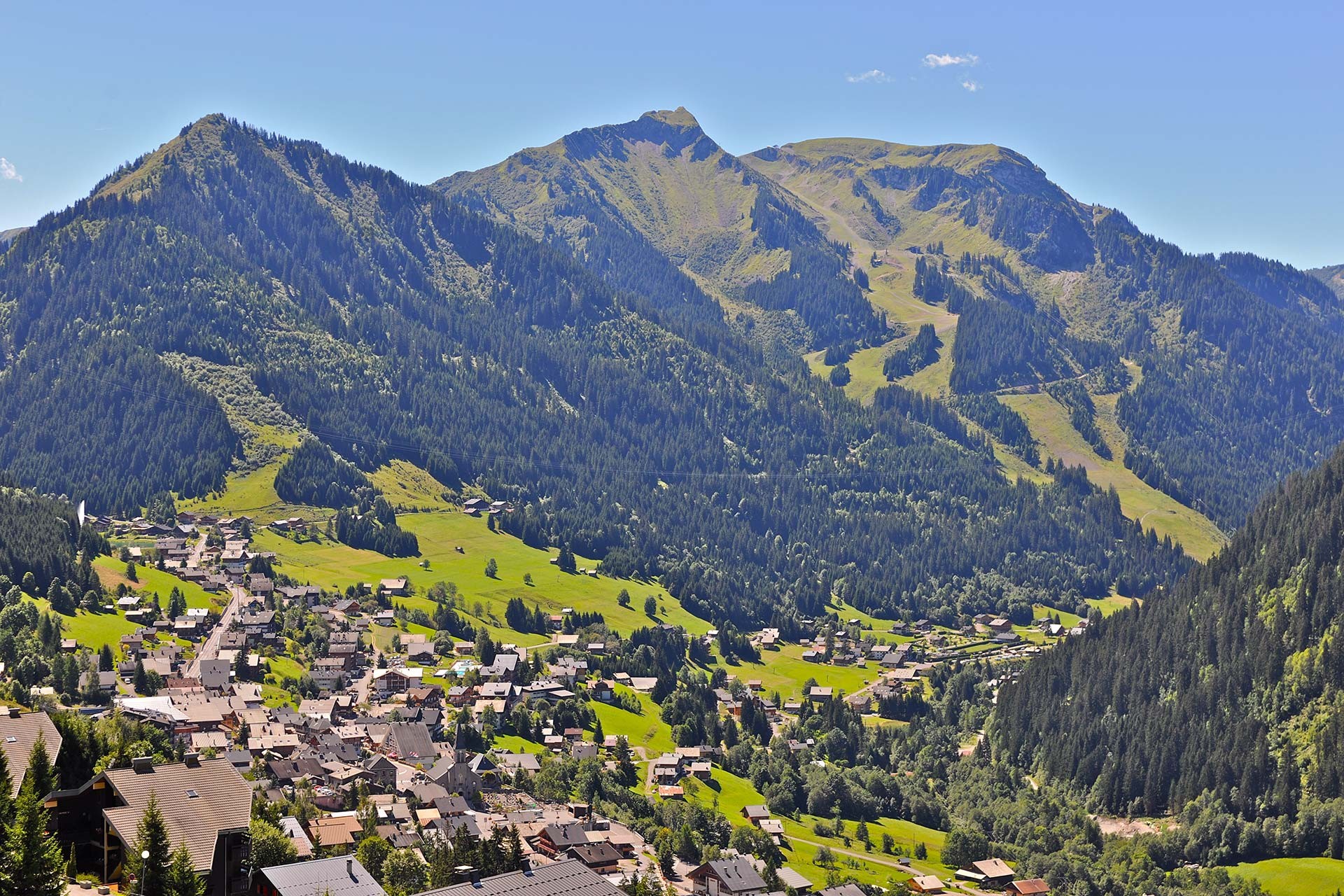 Professionnels du territoire