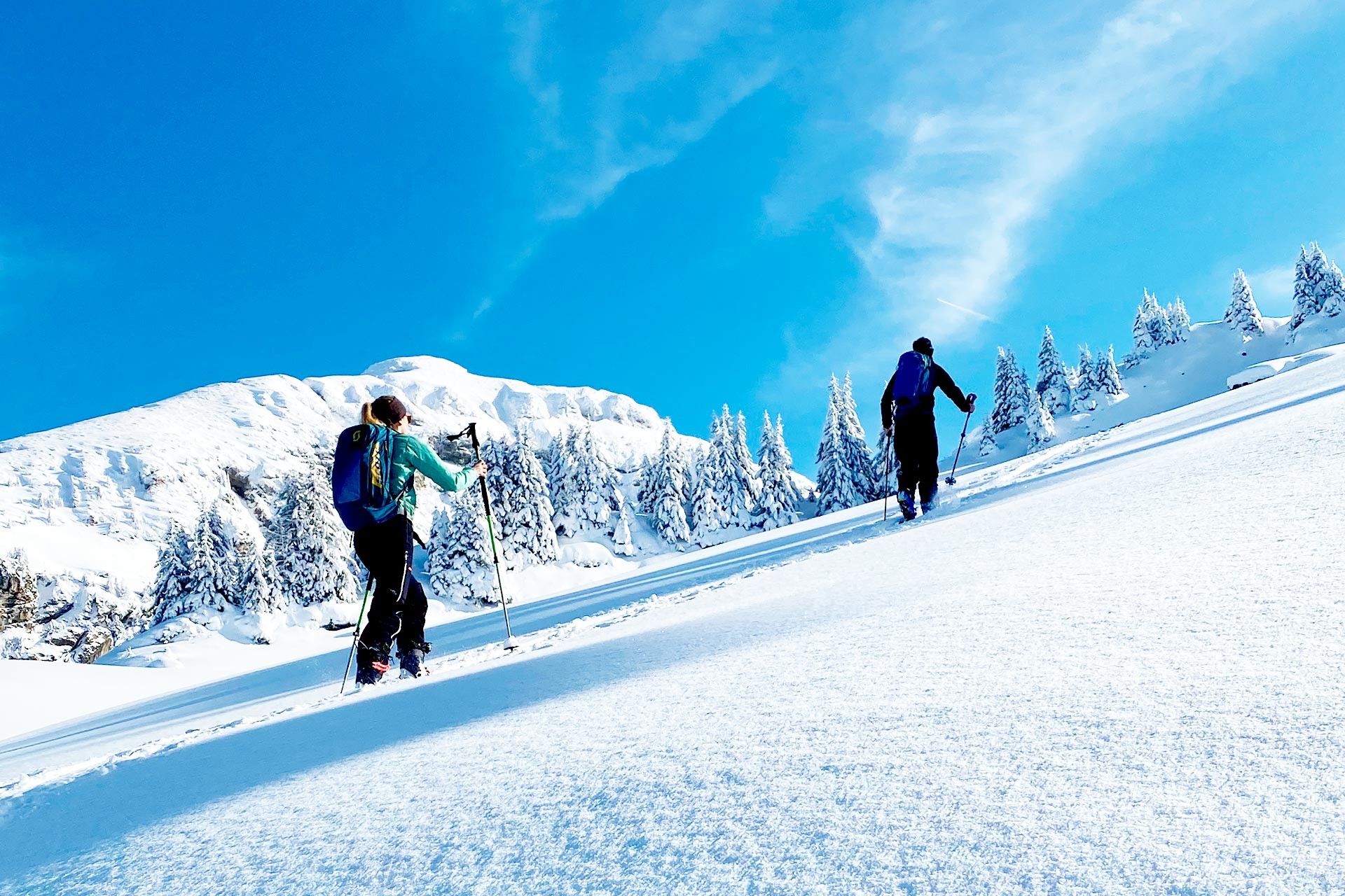 Ski de randonnée