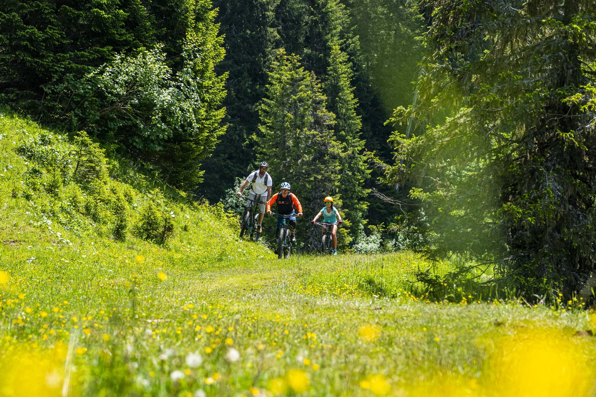 Begeleide ritten