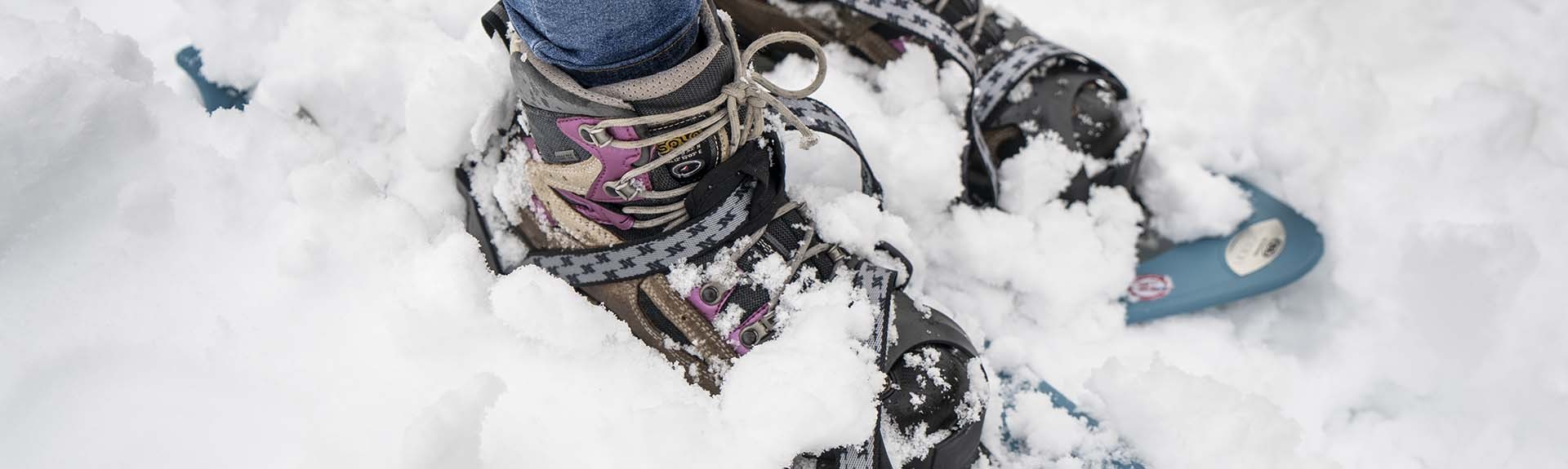 Wandelen, Sneeuwschoenen