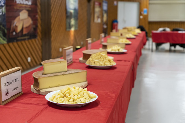 Concours de fromages