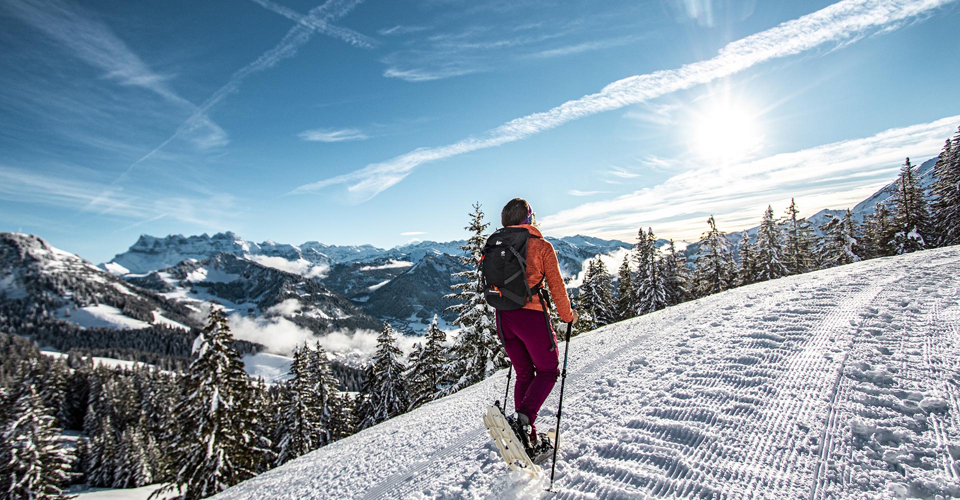 Snowshoeing tour