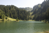 Lac de la Mouille