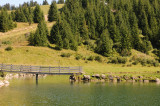 Lac de la Mouille