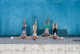 Amis dans l'eau - Forme d'o