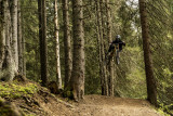 Piste VTT Vink Line partie inférieure -Bike Park de Châtel