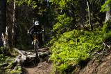 Piste VTT la Bike Patrol