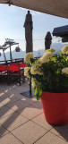 La Terrasse du Morclan en été