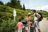 Sentier des oiseaux