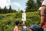 Sentier des oiseaux