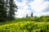 Trail