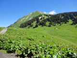 Tour du Mont de Grange - vallée d'Abondnace