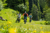 Itinéraire E-Bike - Tour du Mont de Grange depuis Châtel (N°23)_Châtel