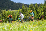 Tour de Super Châtel  (N°29)_Châtel