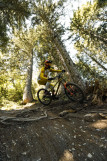 Piste VTT la Dré dans l’pentu - Châtel