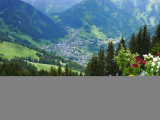 Petit Châtel