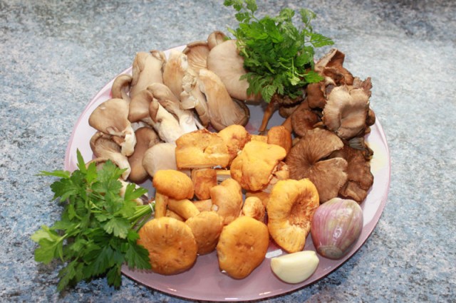 Cassolette de champignons