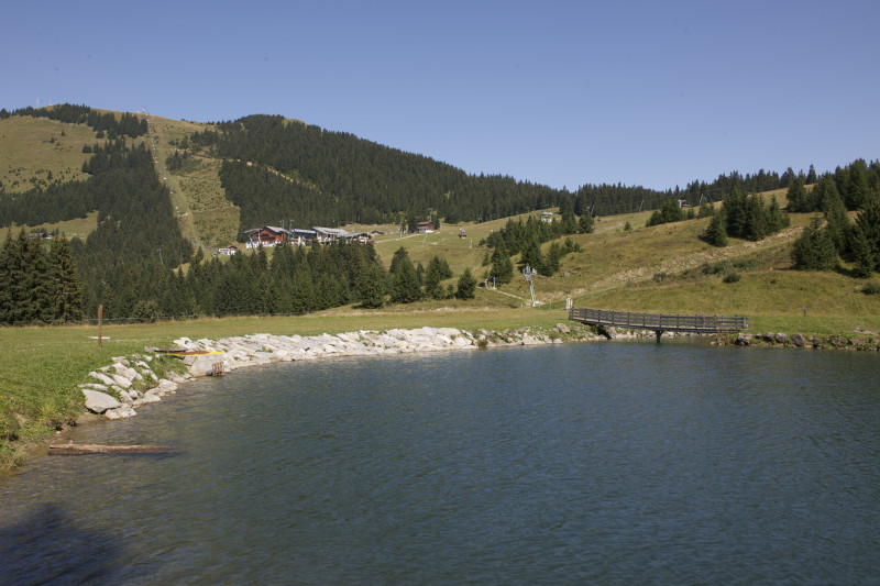 Lac de la Mouille