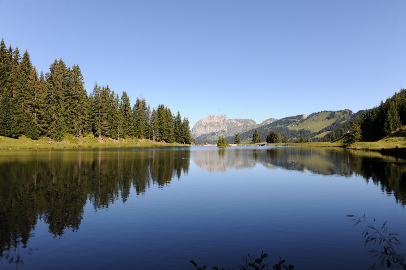 Lac de la Mouille