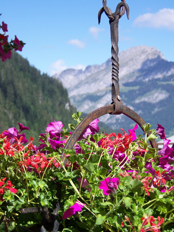 Vue sur les montagnes avec fleurs au premier plan