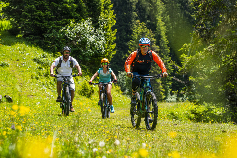Tour de Super Châtel  (N°29)_Châtel