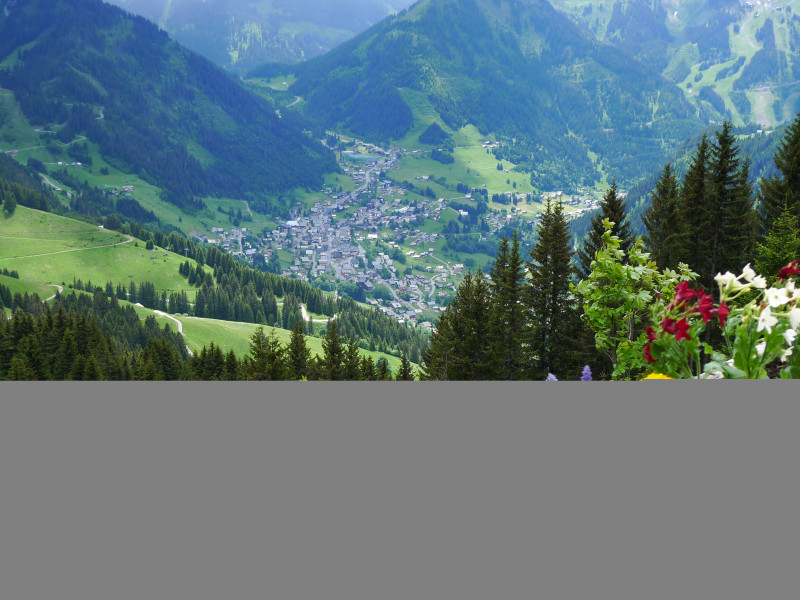 Petit Châtel