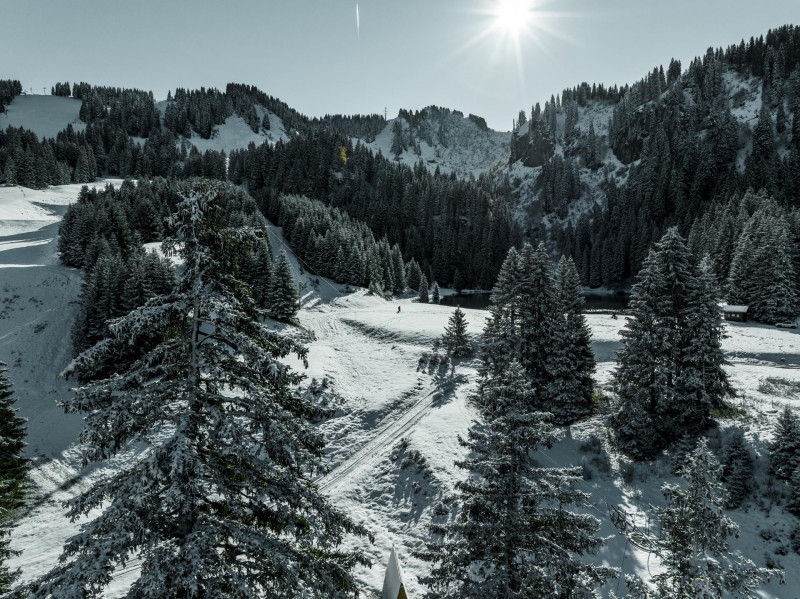 Lake of la Mouille_Châtel
