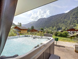 Chalet Clemalou