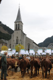 Concours agricole communal