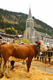 Concours agricole communal