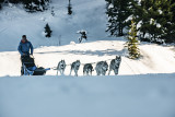 Baptême en traineau à chiens