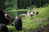Cani'Kart