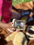 Ateliers d'initiation à la montagne pour les tout-petits par les sens