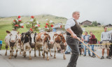 foire_betail2.jpg