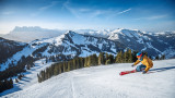 Freeride
